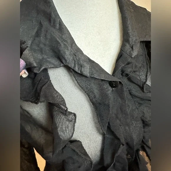 Zebra Sheer Vintage Ruffled Mesh Buttoned Blouse - Picture 2 of 12